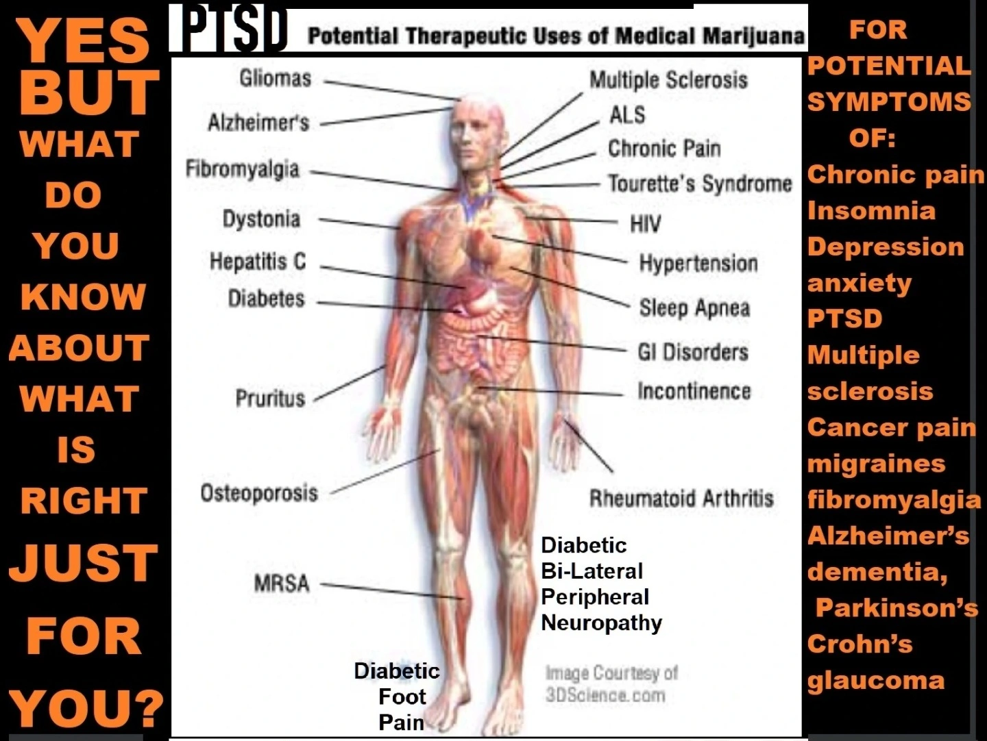 Potential Therapeutic Uses of Medical Marijuana