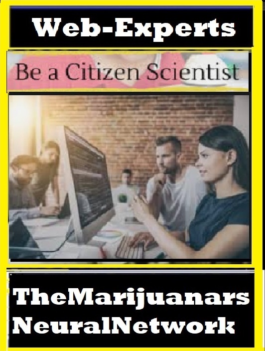Web-Experts